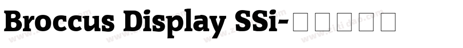 Broccus Display SSi字体转换